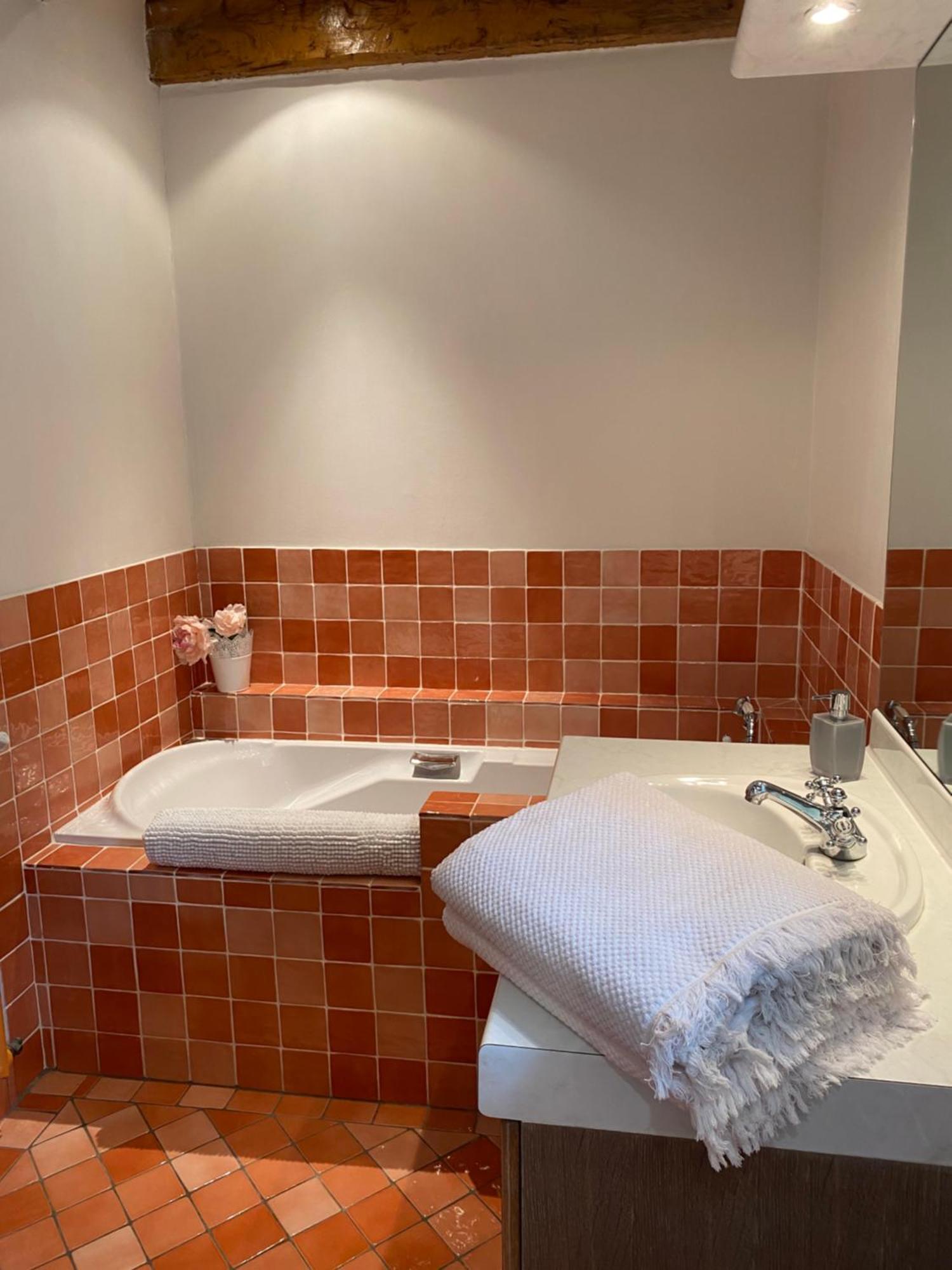 Coulonges Hotel Savignac-sur-Leyze Kültér fotó